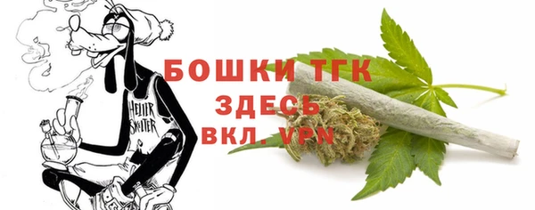 дживик Валдай